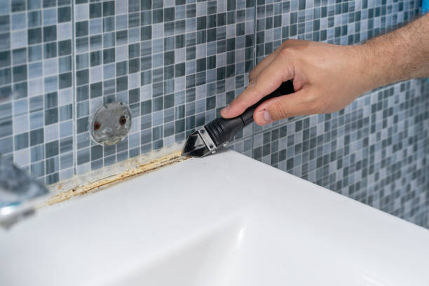 Professional Mold Remediation in Prospect Heights, IL