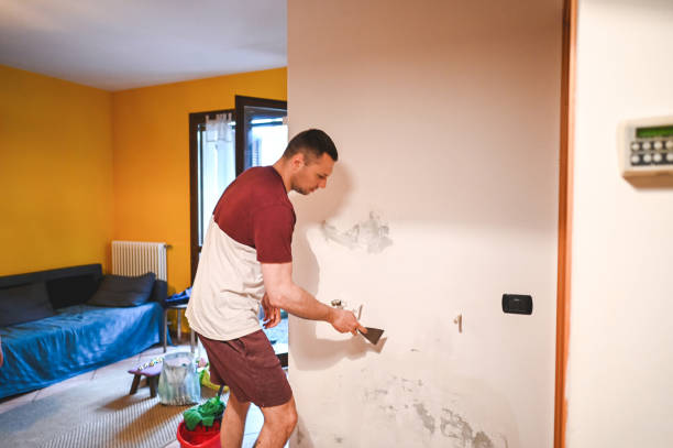 Best DIY Mold Remediation Support Services in Prospect Heights, IL